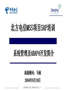 北方电信MSS项目SAP ABAP4培训