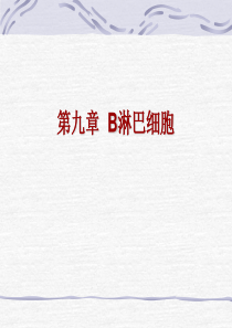 第九章--B淋巴细胞