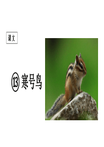 部编版二年级上册《寒号鸟》