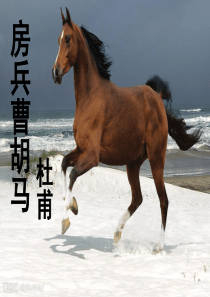 房兵曹胡马课件
