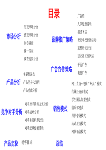 01销售策划书范文