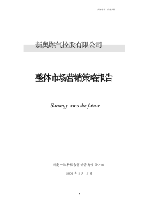 0315-新奥燃气营销策略报告v09