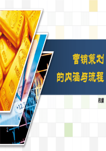 2营销策划流程(4)