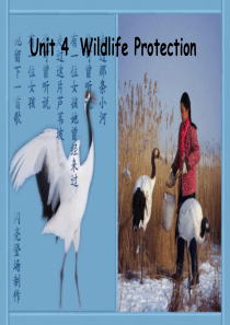 人教版必修二Unit4-reading公开课课件新