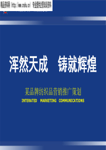 acm_1216_某品牌纺织品营销推广策划（PPT49页）