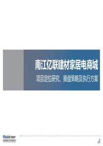 8010南江亿联建材家居电商城营销策略报告