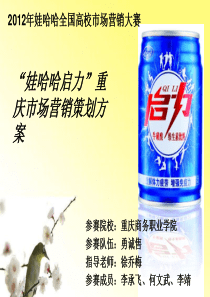 b娃哈哈启力营销策划案