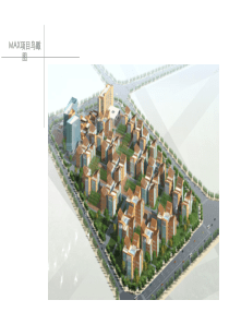 MAX项目营销策划报告2