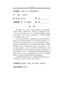 CHDBLG含片营销策略研究