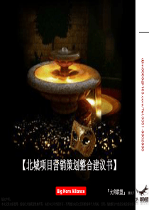 XXXX年7月太原北城项目营销策划整合建议书