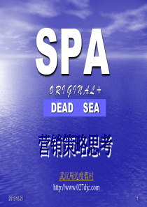 SPA营销策略思考