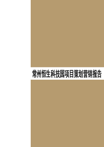XXXX年常州恒生科技园项目策划营销报告