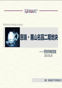 XXXX0522恩瑞营销策略报告定稿