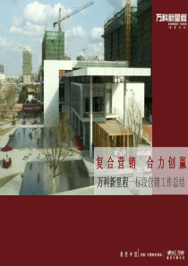 XXXX年知名地产营销策划方案