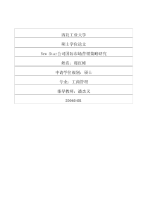 newstar公司国际市场营销策略研究