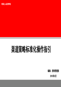 XXXX地产销售渠道策略标准化操作指引105p