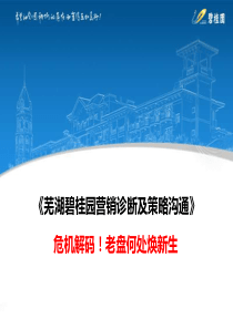 XXXX年芜湖碧桂园营销诊断及策略沟通