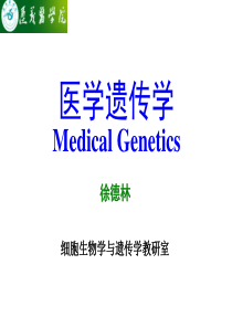 线粒体基因组结构功能与遗传特点