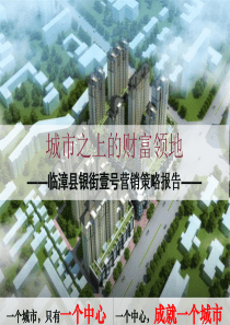 XXXX年邯郸市临漳县银街壹号营销策略报