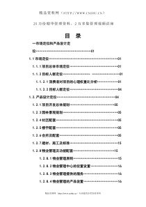 XX总体营销策划