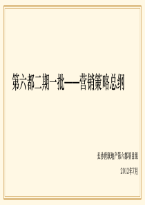 XXXX07世联长沙第六都二期一批营销策略总纲152P