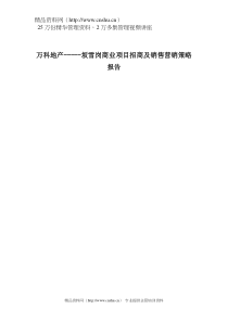 XX商业项目招商及销售营销策略报告（DOC29页）