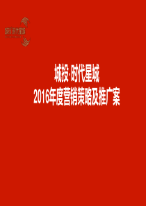 XX项目年度营销策略及推广案(最终版)