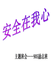 “安全在我心”主题班会_营销活动策划_计划解决方案_实用文档