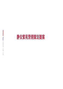 【精品文档】房地产营销策略二次提案