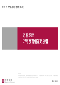 万科_沈阳万科深蓝项目营销策略总纲71_世联XXXX