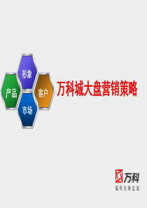 【房地产】天之韵营销策划执行案