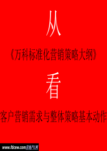 万科营销策略大纲标准化初稿