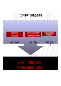万科营销策略大纲标准化终稿2