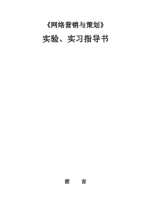 【网络营销】网络营销与策划指导书