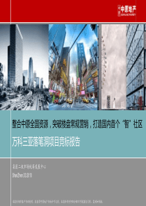 万科三亚落笔洞项目营销策划竞标报告_中原_128PPT_XXXX年