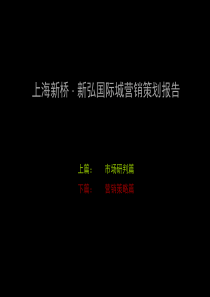上海新桥新弘国际城营销策划报告