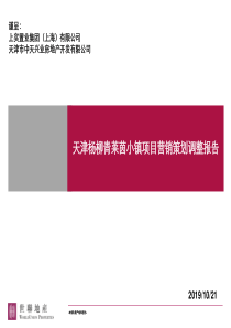 世联-天津杨柳青莱茵小镇项目营销策划调整报告-164PPT