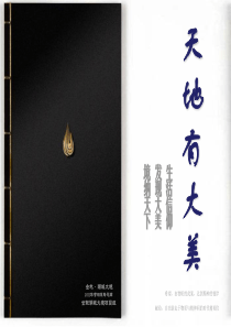 世联西安金地·湖城大境营销策略总纲