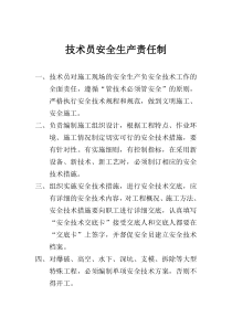 技术员安全生产责任制
