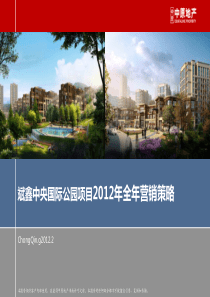 中原-重庆斌鑫中央国际公园项目全年营销策略