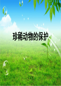 珍稀动物的保护