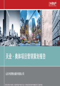 中原_济南天业_奥体项目营销策划报告_156PPT_XXXX年