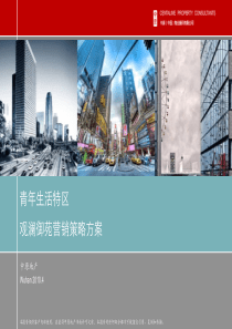 中原_武汉_青年生活特区_观澜御苑营销策略方案_99PPT_XXXX年