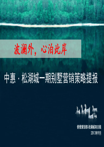 中惠松湖城别墅开盘前营销策略（PPT44页)