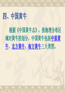 中国黄牛品种(四)