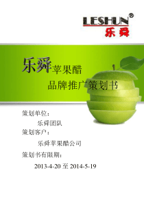 乐舜营销策划书