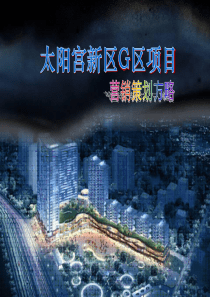 伟业顾问-北京太阳宫G区营销策略方案103PPT-37M