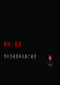 保利东湾营销策略及推广提案