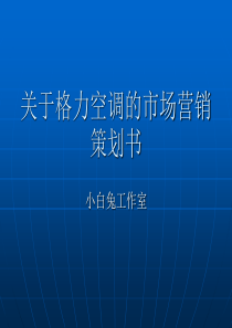 关于格力空调的市场营销策划书
