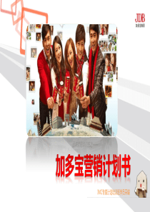 加多宝营销策划书（PPT36页)